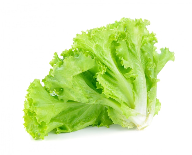 Fresh lettuce isolated on white background