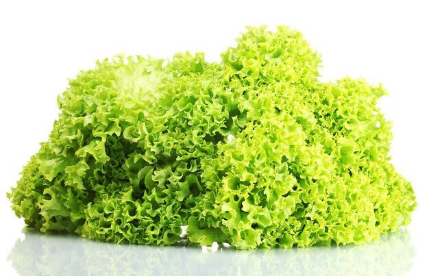 Fresh lettuce isolated on white