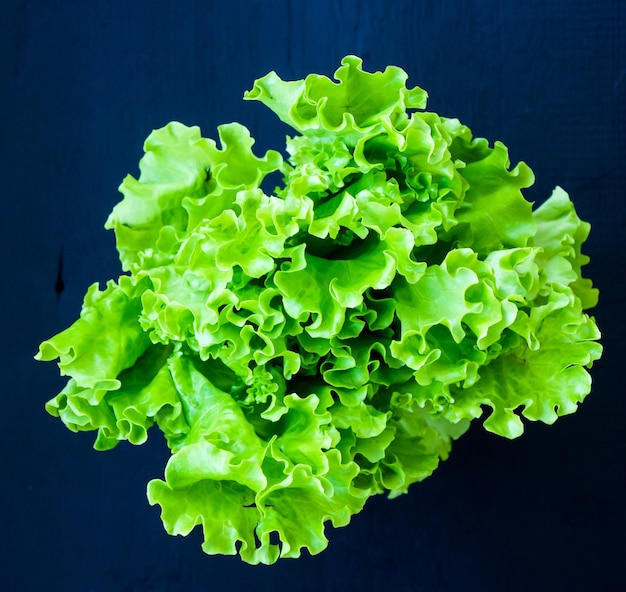 Fresh lettuce leaves on black backgroundhealthy food