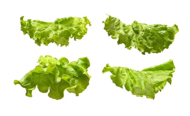 Photo fresh lettuce leaves isolated on white background