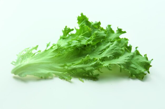 Fresh lettuce leaves isolated on white