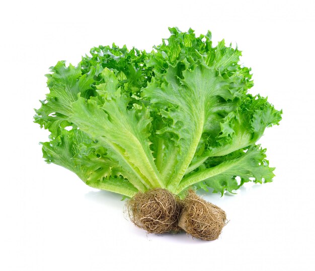 Fresh lettuce leaves isolated on white.