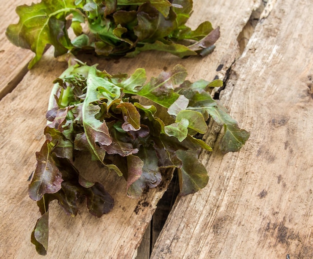 Fresh lettuce leaves on a wooden background