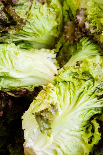 Fresh lettuce at the local farmer's  market.