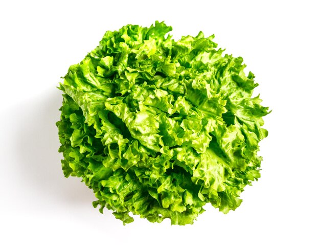 Photo fresh lettuce salad isolated on a white background