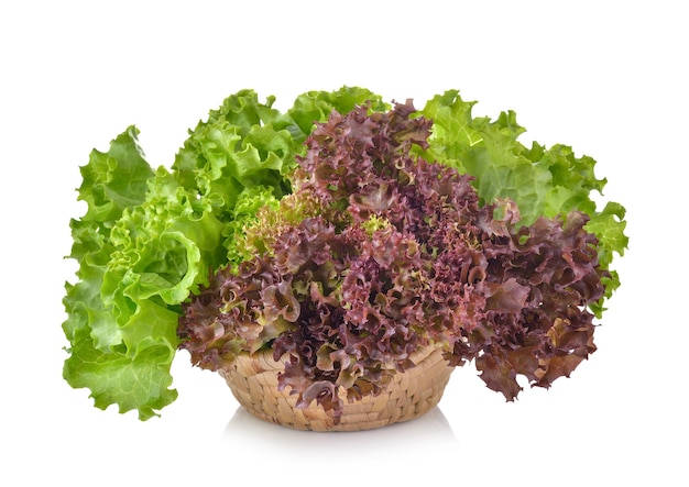 Photo fresh lettuce on white background