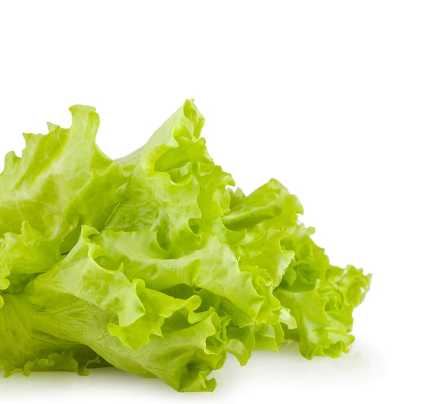 Fresh lettuce