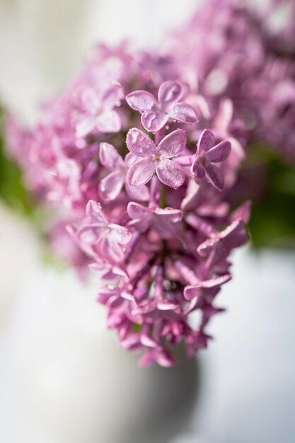 Fresh lilac bouquet Beautiful lilac flowers bouquet background