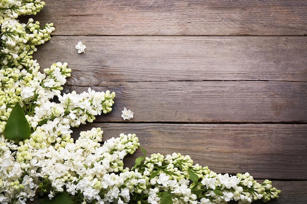 Fresh lilac on wooden background