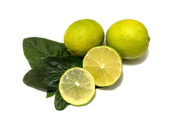 Fresh lime fruit. Whole fruits and cut. Lime leaves. Studio photography on a white background. High quality photo