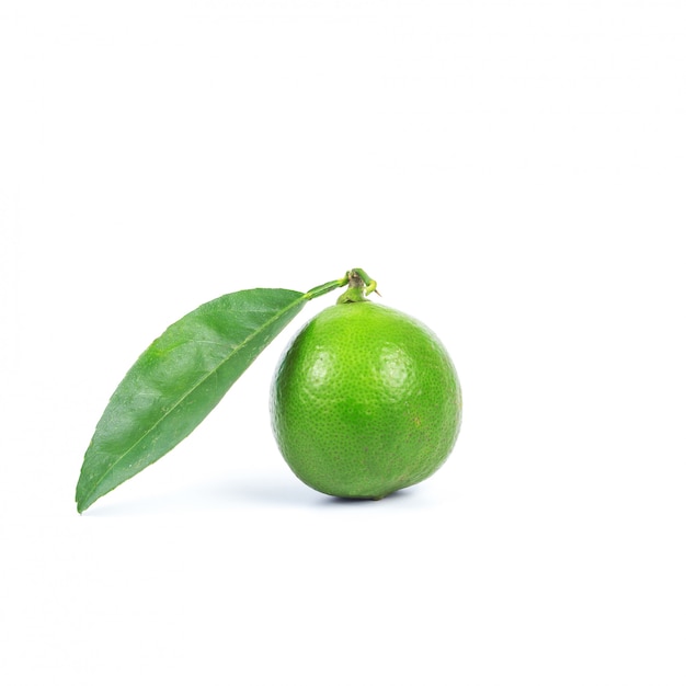 Fresh lime on white background