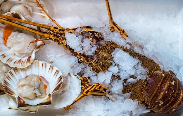 Fresh lobster and oysters on ice at the ataranzanas central market malaga spain
