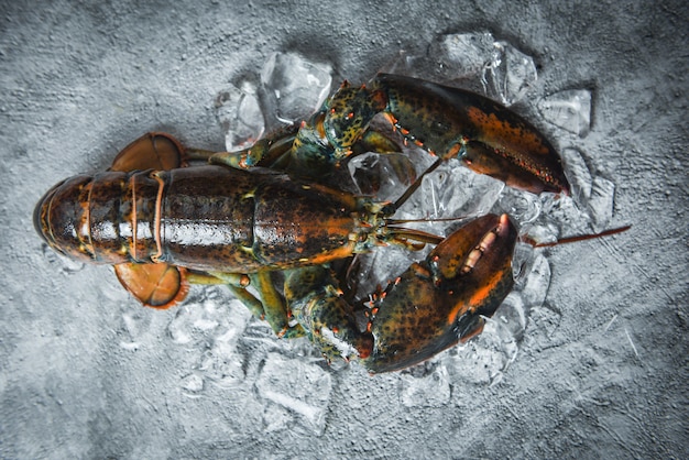 Molluschi di aragosta freschi nel ristorante di pesce per cibi cotti aragosta cruda su ghiaccio su un tavolo di pietra nera