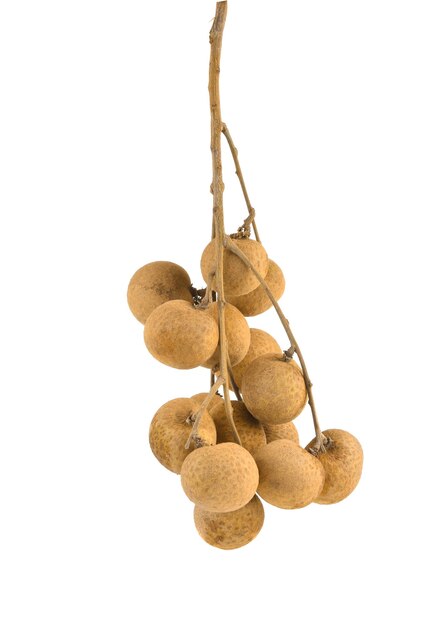 Fresh longan on white background.