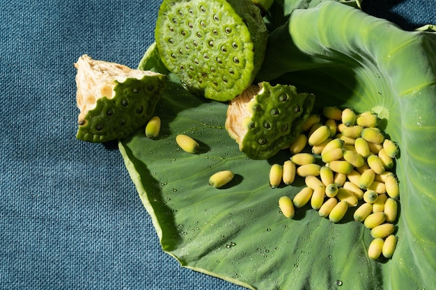 Fresh lotus seeds on a simple background