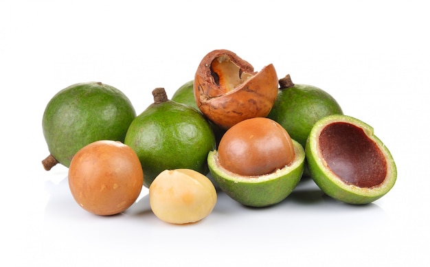 fresh macadamia nut isolated
