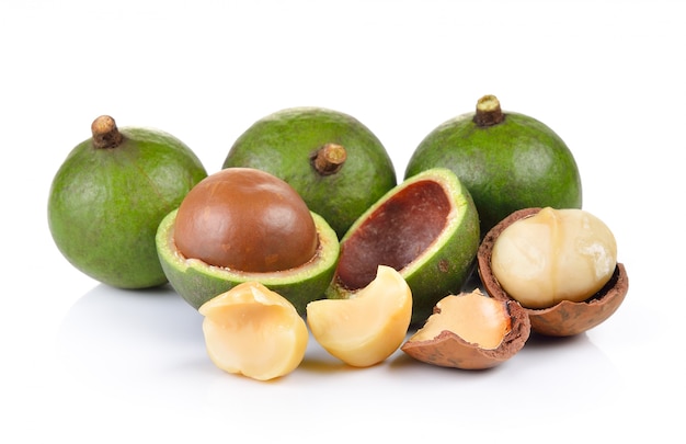 fresh macadamia nut isolated