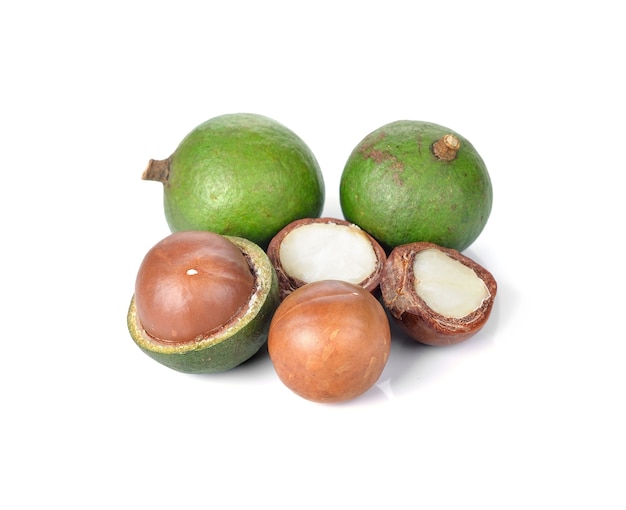 Fresh macadamia nuts on white background