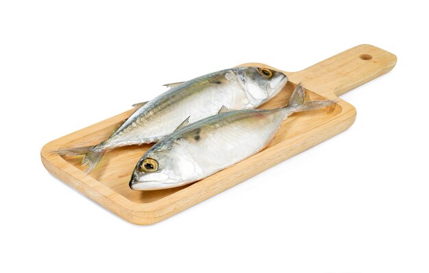 Fresh mackerel fish with square wooden tray isolated on white background include clipping path