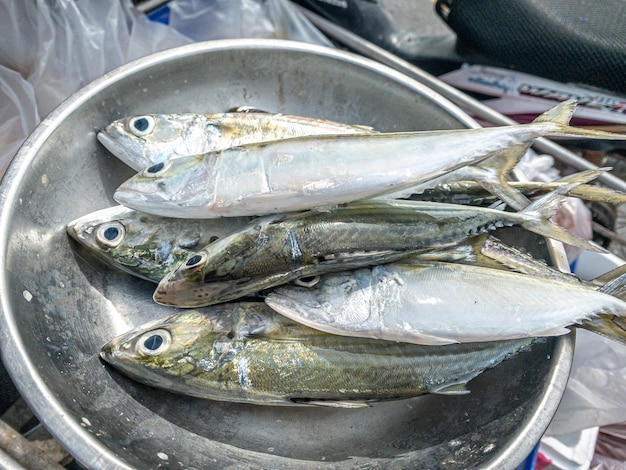 Fresh mackerel placed in a stall in the market