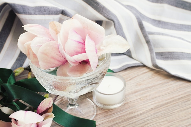 Fresh magnolia flowers in vase on wooden table