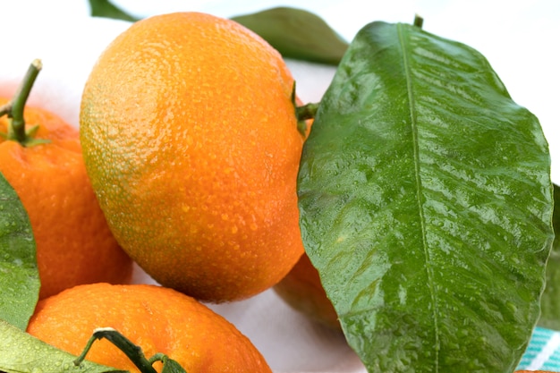 Fresh mandarins with green leaves