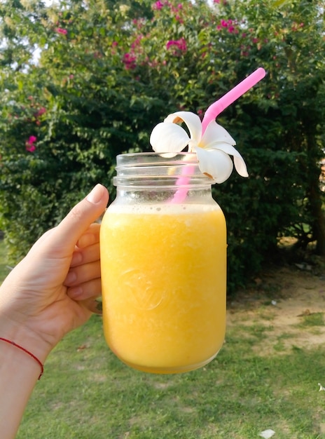 Fresh mango juice in glass cup with frangipani flower