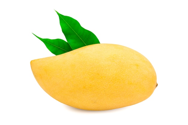 fresh mango on white