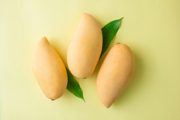 Fresh mango with leaf on yellow background in top view