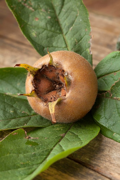 Fresh medlar and leaves