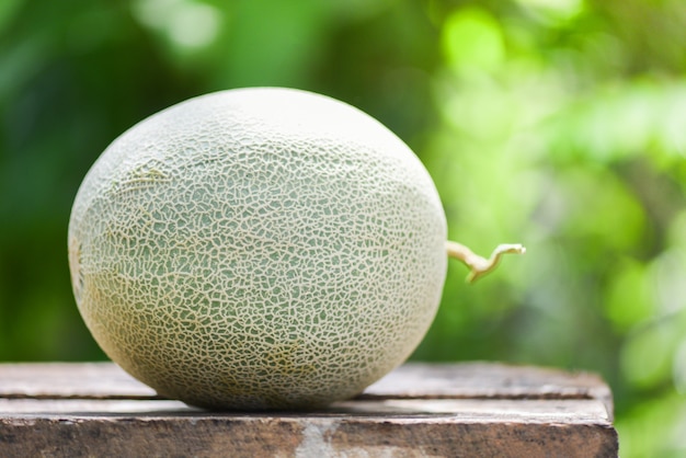 Fresh melons or green melon cantaloupe on the wooden table and nature 