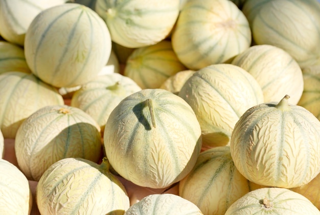 Fresh melons on a market