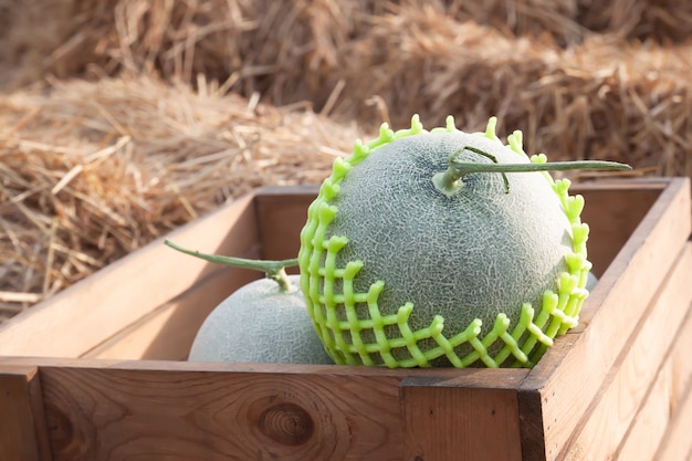 Fresh melons in wooden box on straw. Healthy fruit