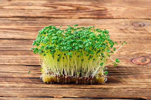 Microgreens freschi. germogli della pianta della senape su fondo di legno.