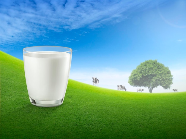 Fresh milk in glass and blurred landscape with cow on meadow Healthy eating Rustic style Space for design