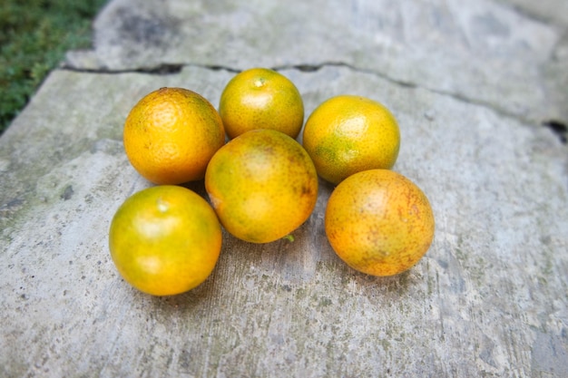 fresh mini orange fruit at the backyard garden in summer time day