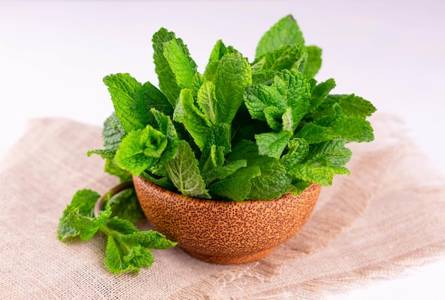 Fresh mint in a bowl on a white background Closeup