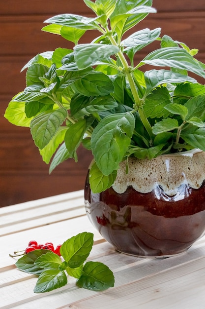 Photo fresh mint in bowl on wooden table