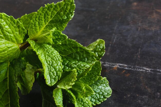 Fresh mint on dark grunge metal background