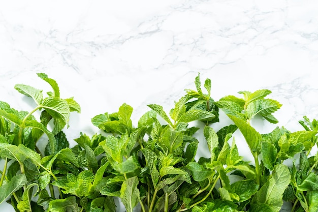 Fresh mint from the organic garden on a marble background.