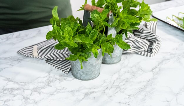 Fresh mint from the organic garden on a marble background.