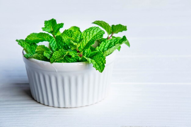 Fresh mint herbs in a white bowl