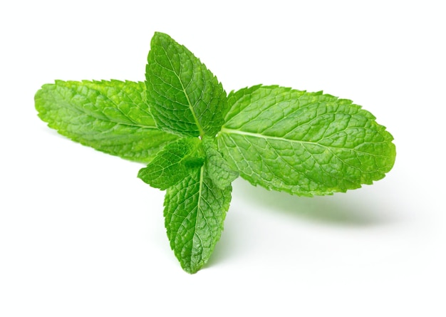 Photo fresh mint isolated on white