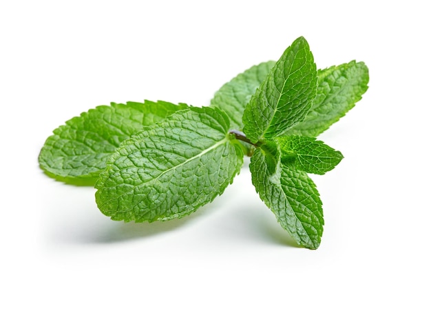 Fresh mint isolated on white