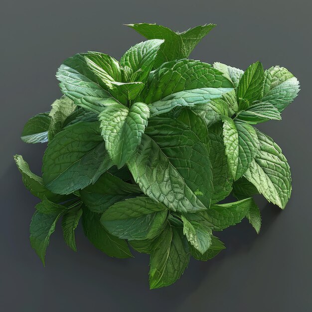 Photo fresh mint leaves on black background selective focus