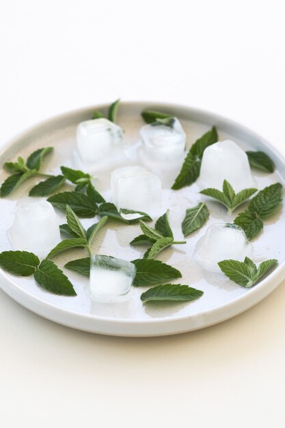 fresh mint leaves and ice cubes on plate isolated on white background