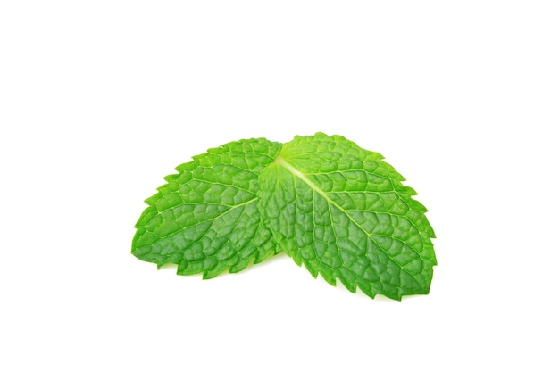 Fresh Mint leaves isolated on white background