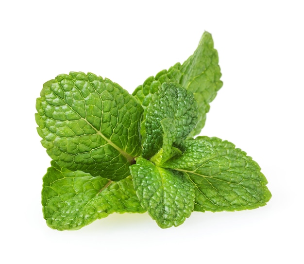 Fresh mint leaves isolated on white background