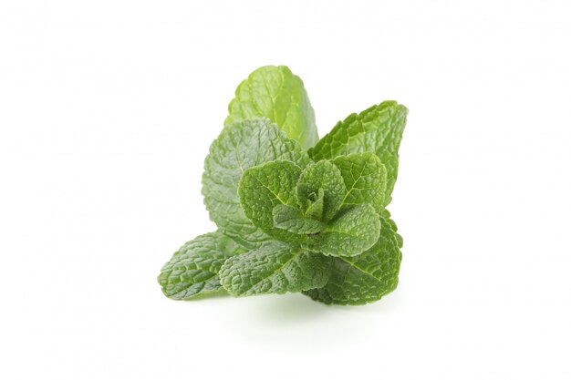 Fresh mint leaves isolated on white