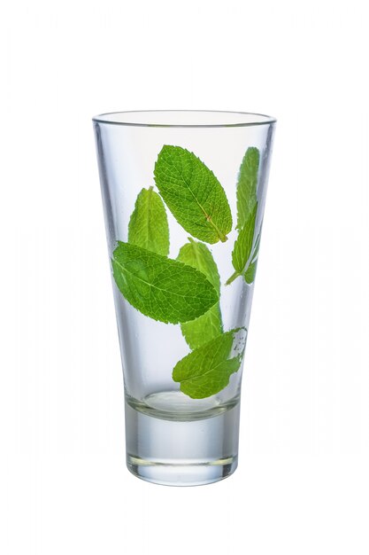 Photo fresh mint leaves on walls of empty wet highball glass isolated on white